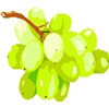 vin corse