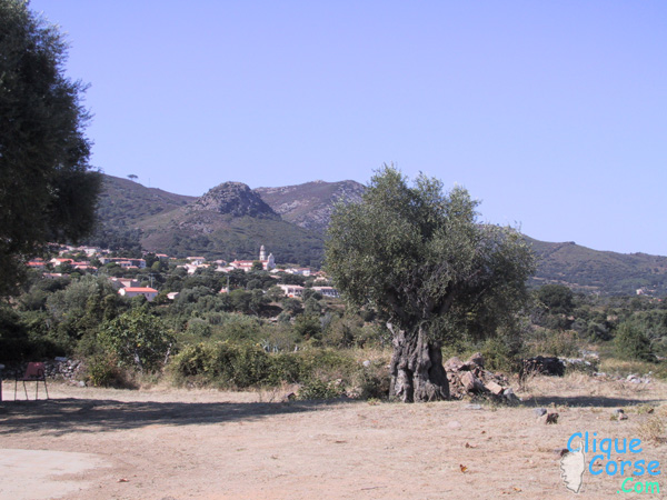 Photo Calenzana