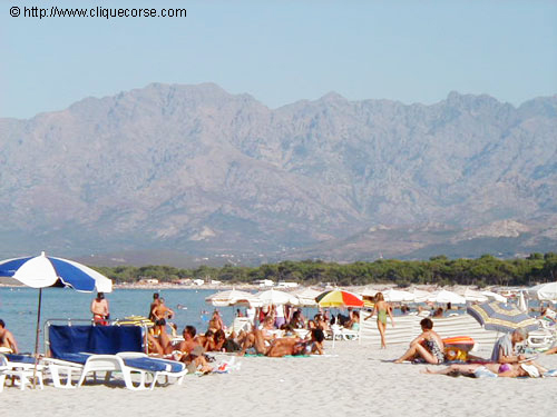 La plage de Calvi